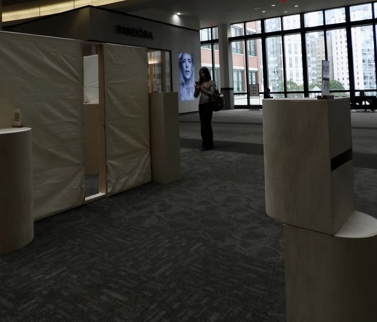 Exhibition setup — mall interior and installation